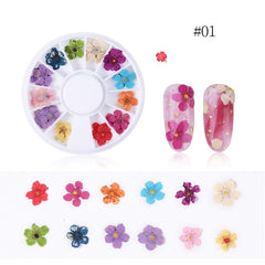 1 Box 3D Dried Flower Nail Decoration