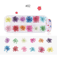 1 Box 3D Dried Flower Nail Decoration