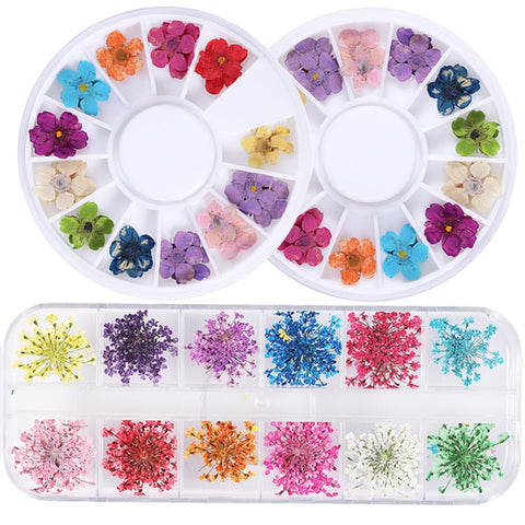 1 Box 3D Dried Flower Nail Decoration