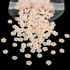 1 Box 3D Dried Flower Nail Decoration